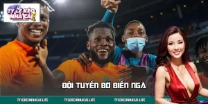 Đội Tuyển Bờ Biển Ngà: Sức Bật Châu Phi, Tiến Tới World Cup