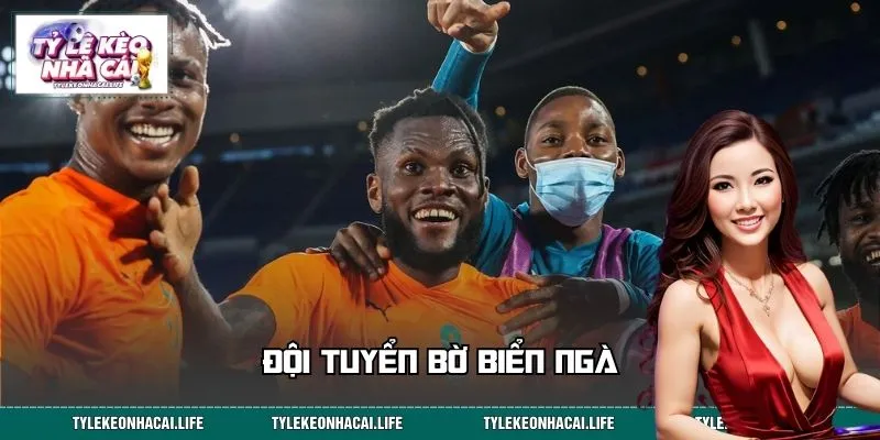 Đội Tuyển Bờ Biển Ngà: Sức Bật Châu Phi, Tiến Tới World Cup