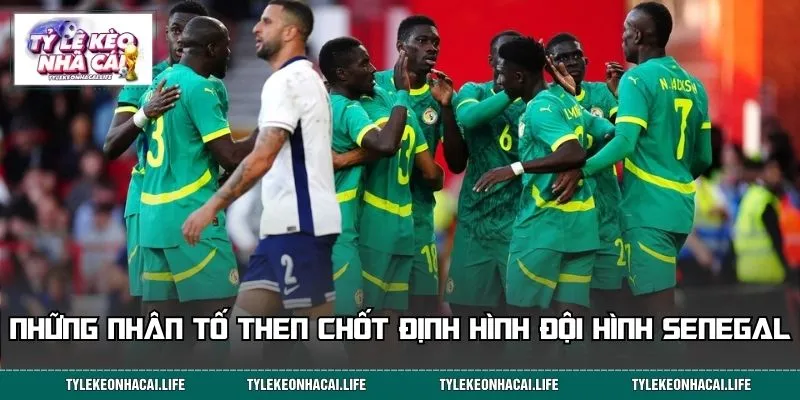 Bật mí những nhân tố góp phần định hình đội tuyển Senegal